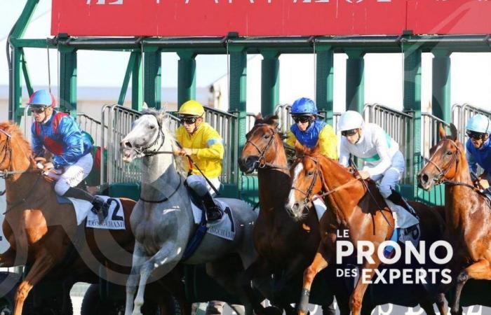 Expert predictions for meeting 1 at ParisLongchamp this Sunday, October 6