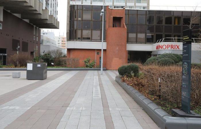 Sticks, crutches, katana… a violent brawl between gangs leaves one seriously injured in Paris in the Beaugrenelle district