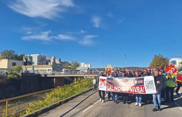 several hundred people march against the closure of the Solvay factory in Gard