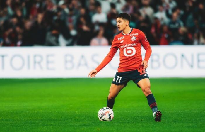 Ligue 1 – D7: The notes of the Dogues after LOSC – Toulouse FC