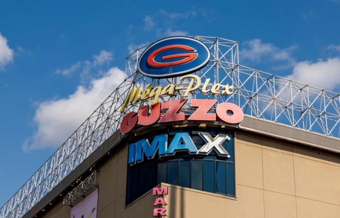 Receivables of more than 60 million | Guzzo threatened with bankruptcy