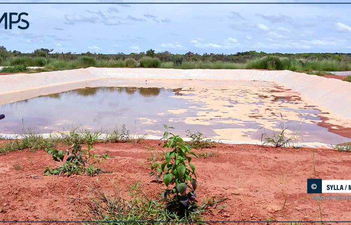 SENEGAL-ECONOMY / Aquaculture in Tambacounda: the CEO of the ANA at the bedside of a sector in decline – Senegalese press agency