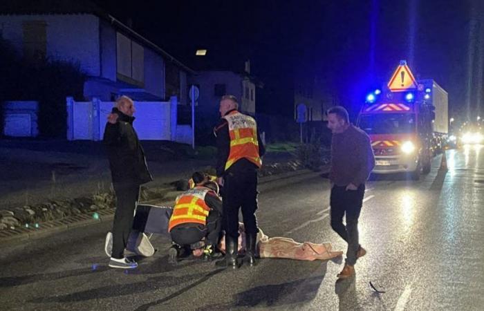 Haute-Savoie. A pedestrian knocked down on the Route des Creuses in Seynod