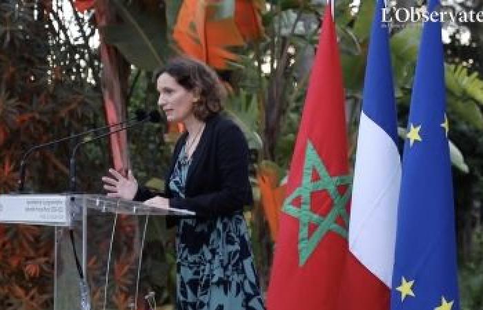 Christophe Lecourtier: “Morocco and France, a tandem capable of speaking to Africa, Europe and the world in the most exemplary way possible to show the way”