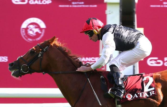 Qatar Prix du Cadran 2024 at ParisLongchamp: Kyprios, a machine