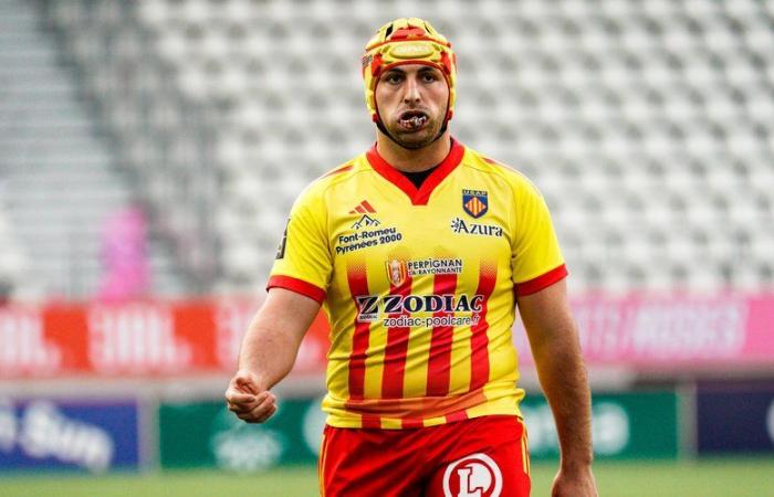 Top 14 – Perpignan – Pau notes: Lucas Velarte and Joaquin Oviedo valiant and efficient, Jeronimo De la Fuente and Daniel Bibi Biziwu disappointing