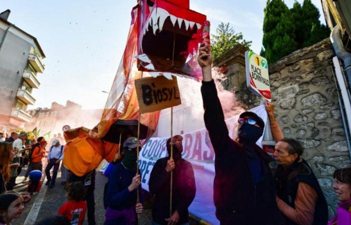 A pellet factory must see the light of day in Creuse, opponents denounce “a deforestation machine”