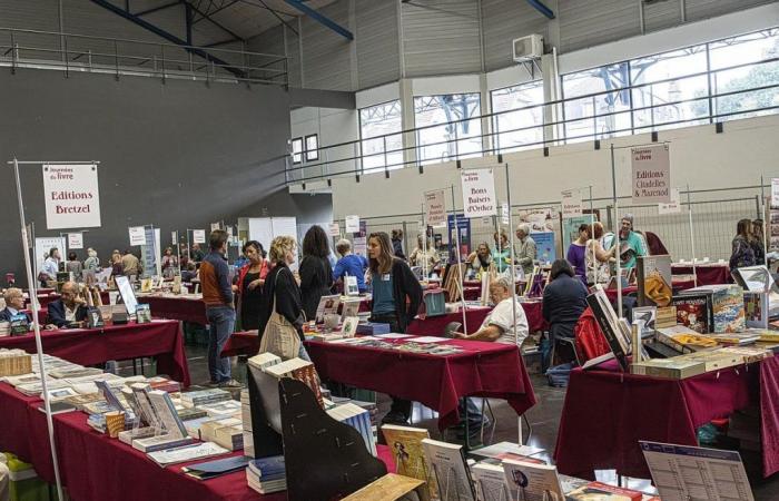 Orthez: Book Days are back for a 28th edition