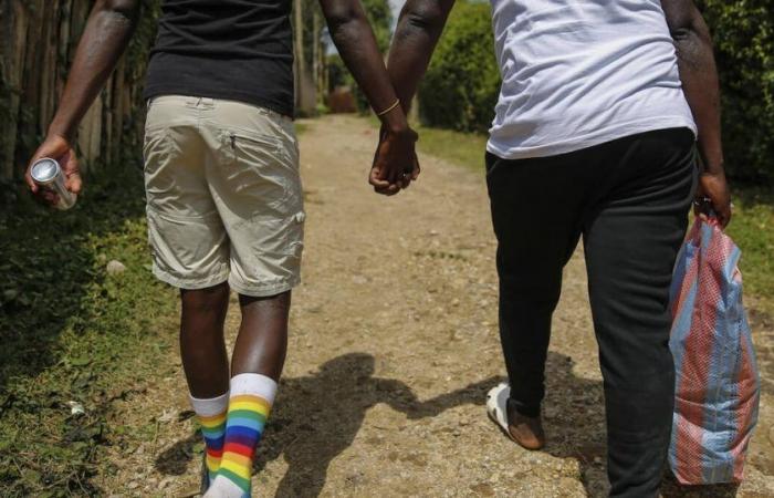 Ivory Coast: woubi, when homosexuality is frolic