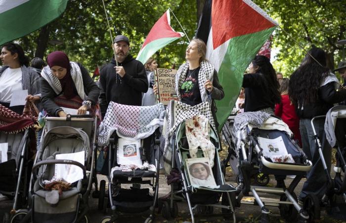 Thousands demonstrate for Palestinians in Basel