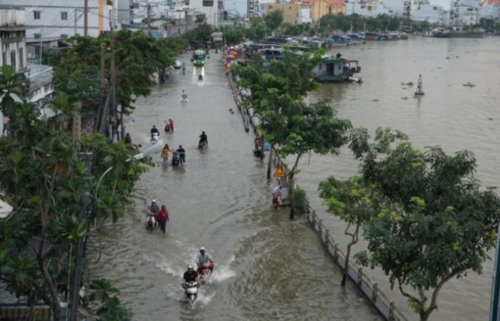 emergencies and solutions for Vietnamese megacities