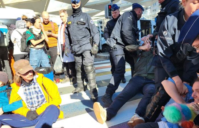 Greta Thunberg and other climate protesters taken away by police (PHOTOS)