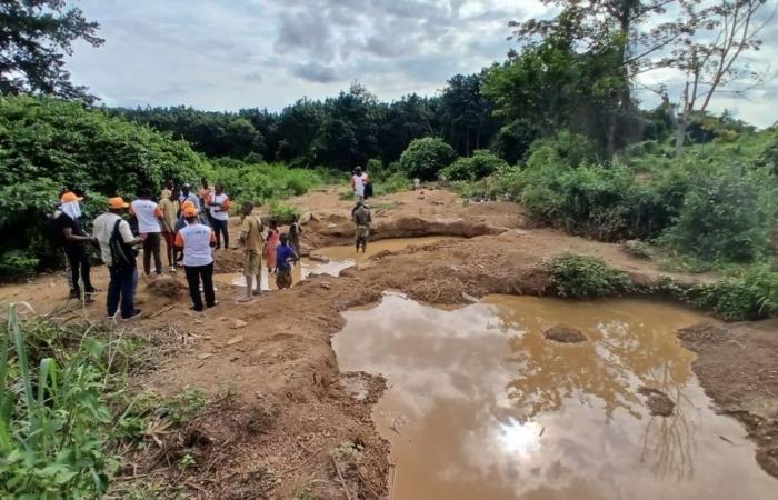 Ghana, the dramatic fallout from illegal mining: poisoning our water in the quest for GOLD! [Par Rachel Gyabaah]