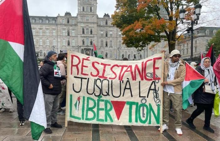 Demonstration for Palestine in front of the National Assembly