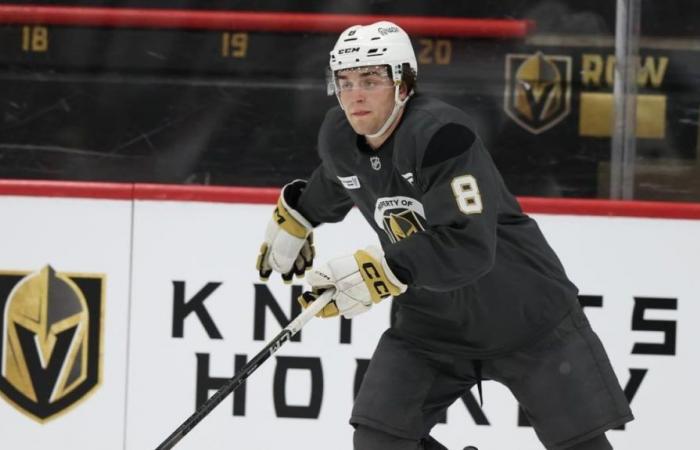 NHL: Mathieu Cataford learned a lot from his first camp with the Golden Knights