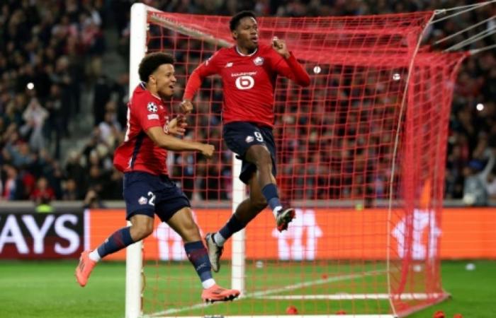 L1: against Toulouse, Lille wants to ride the wave of its achievement