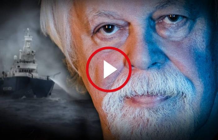 The true story of Paul Watson’s arrest – Libération