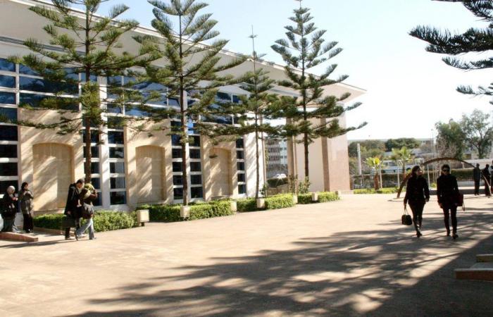 Vernacular architectural production at the center of a conference in Rabat