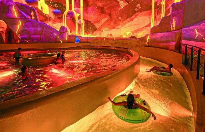 What is Aquascope, the Futuroscope water park, worth?