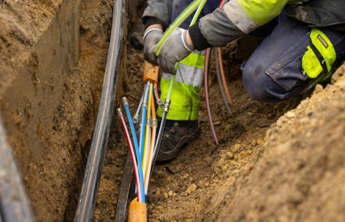 Camtel denounces the sabotage of its fiber optic network