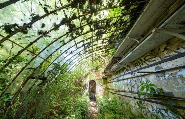 Abandoned for years, this castle will be renovated and transformed