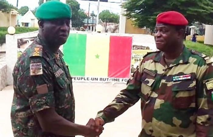 The Gambian army and that of Senegal join forces to ensure border security