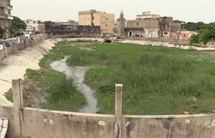 Rainwater: in Senegal, retention basins become haunts of infectious diseases