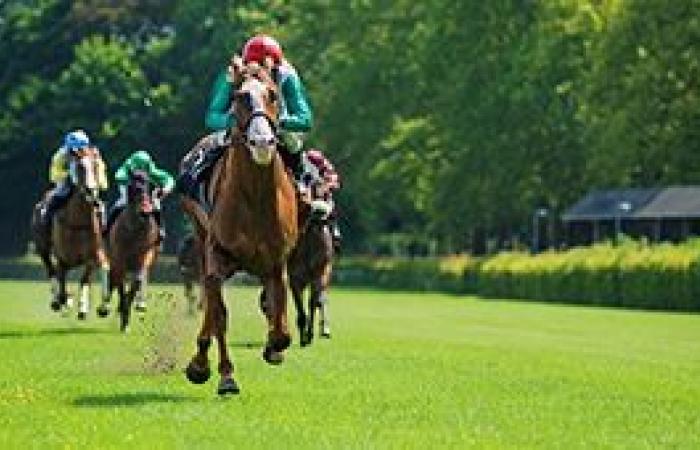 Quinté prediction for Sunday October 6 – Qatar Prix de l’Arc de Triomphe