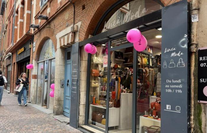 Pink October: in Toulouse, neighborhoods also raise awareness about the fight against breast cancer