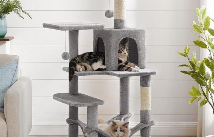 Amazon is finally offering this cat tree at a reduced price, it’s time to please your feline