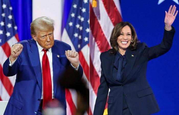 Trump hits the streets, media blitz for Harris