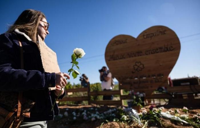 In Mazan, victims of violence march in support of Gisèle Pélicot (photos and videos)