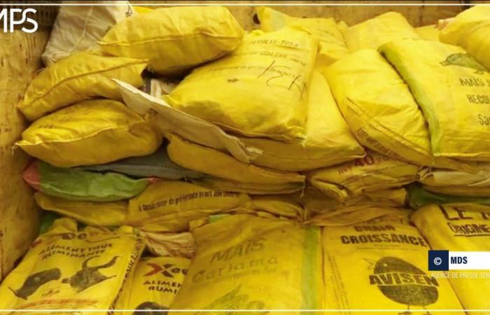 SENEGAL-ENVIRONNEMENT-SOCIAL / Floods: 20,000 earth bags given to the governor of Matam – Senegalese press agency