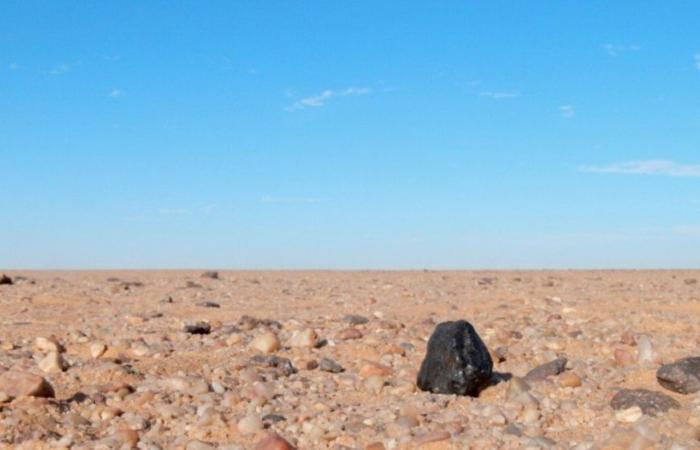 Discovery of meteorites: the Attarik Foundation highlights Morocco’s role in the 2024 Science Festival