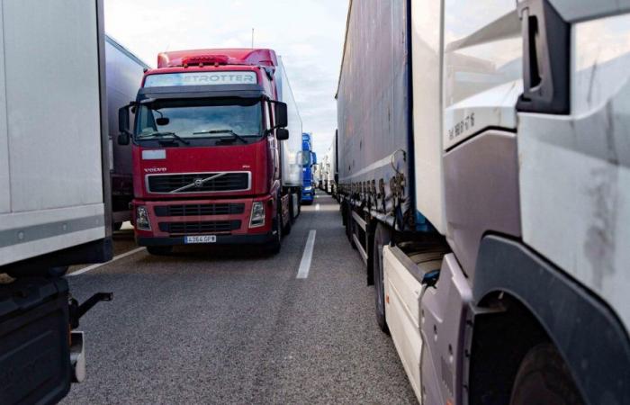 Heavy goods vehicle tax: why this project will idle trucks in Alsace on Monday