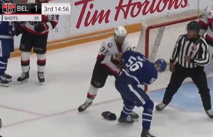 Cédric Paré fought in a Marlies preseason game