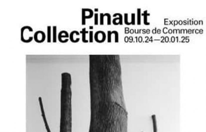 Arte Povera Expo at the Bourse de Commerce | Ticket Reservation