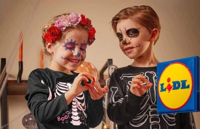 Lidl will be a huge hit with its Halloween costumes for less than 10 euros – Tuxboard