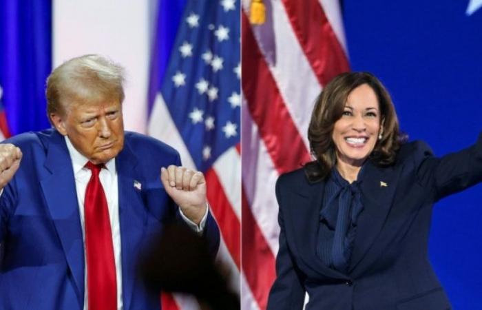 Trump hits the streets, media blitz for Harris: News