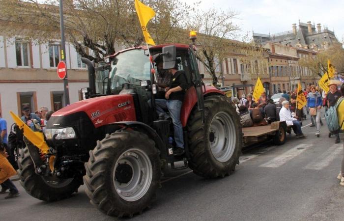 Yves and Jean-Luc went back to the origins of peasant agriculture in the Nord and Pas-de-Calais