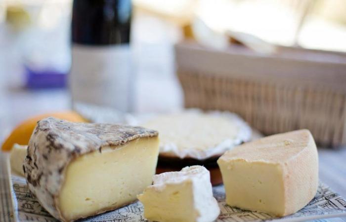 Listeria: cheeses made in Pas-de-Calais recalled, do not eat them, they may be contaminated