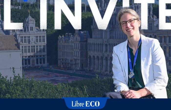 The new boss of Mini-Europe: “We need Brussels to reassure us about our future”