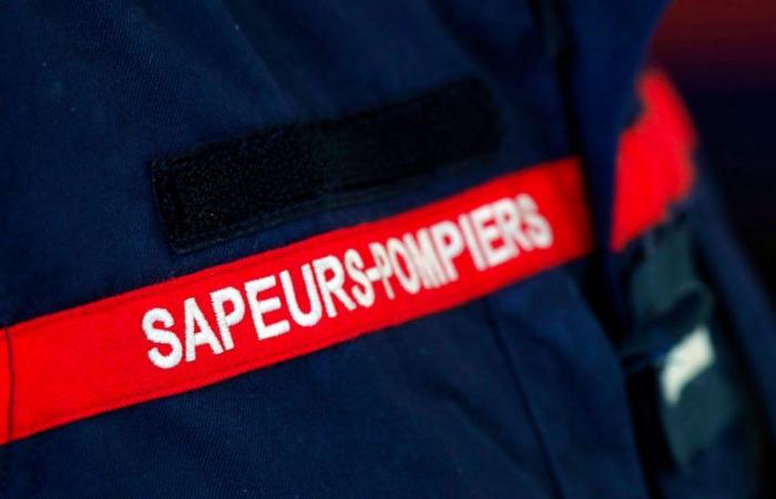 France: fire caused by fryer kills two