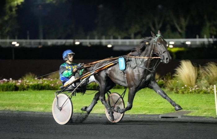 Helecho favorite of the quinté of October 7, 2024 in Enghien with Eric Raffin