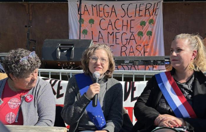 More than 2,500 people mobilized in Creuse against “mega-wood factories”