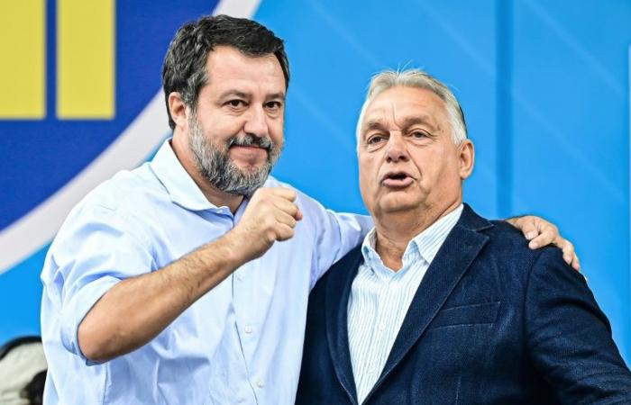 Salvini and Orban attack Brussels, described as “eco-terrorist” and “bureaucratic”