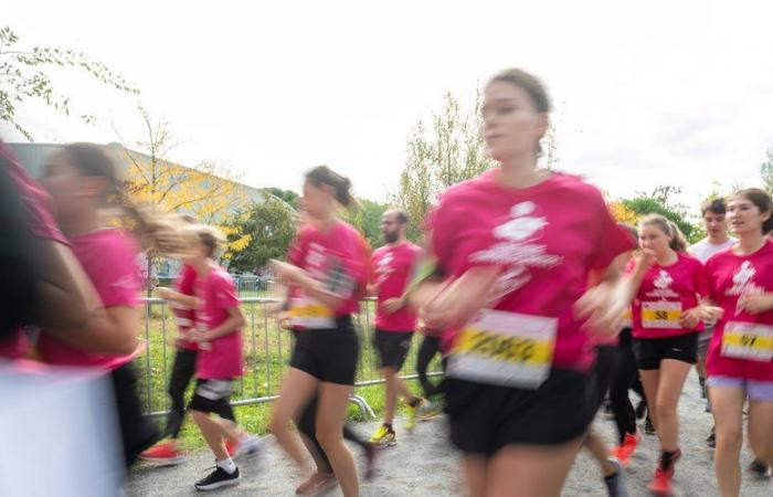 Pink October in Toulouse: the big race brings together 11,000 participants