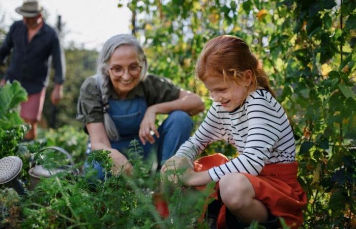 “What’s important is spending time together”: grandparents and grandchildren talk about their bond