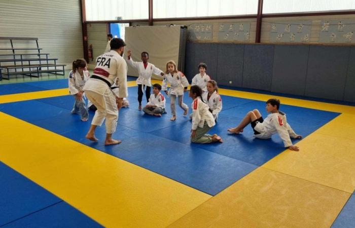 head for tatami in Yvelines