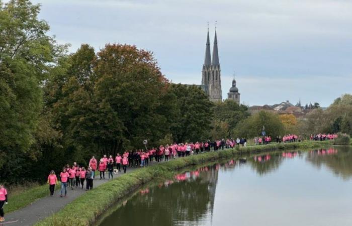 Moselle-East. Sarralbe, a pink city against cancer